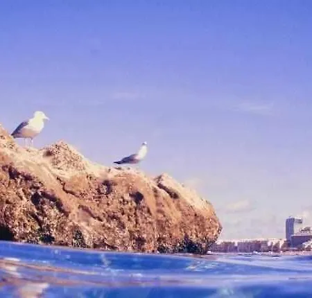 Atlanticrealtors Bernardo De La Torre Ar001 شقة لاس بالماس دي غران كاناريا