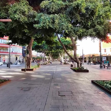 Atlanticrealtors Bernardo De La Torre Ar001 لاس بالماس دي غران كاناريا